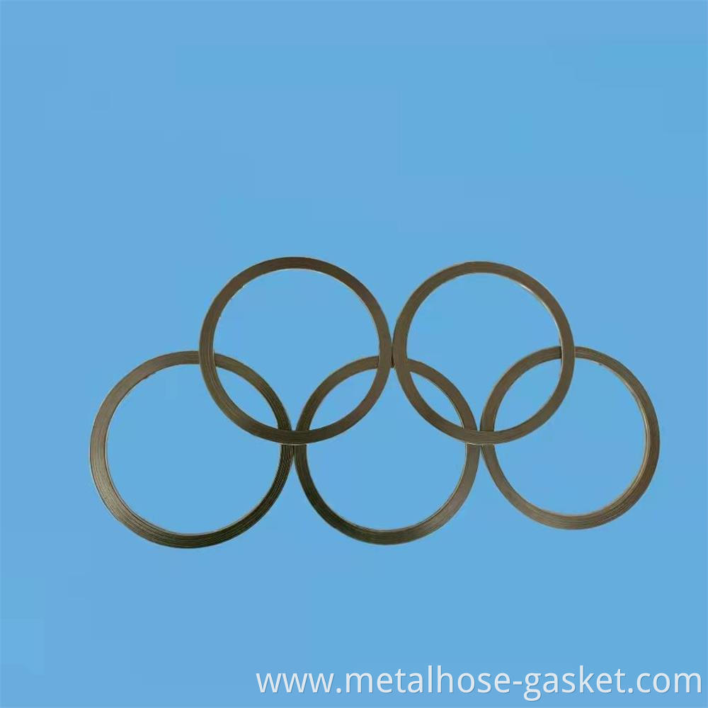 Basic graphite wound gasket